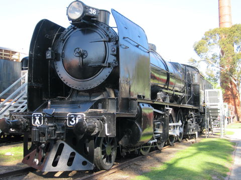 Newport Railway Museum - New South Wales Tourism  0