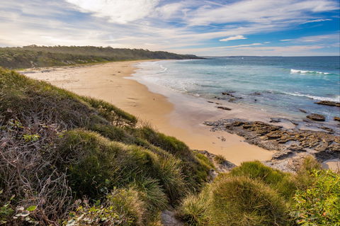 North Beach Bawley Point - New South Wales Tourism  0