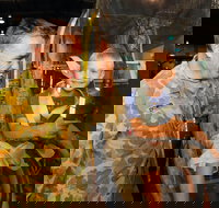 Oakey - New South Wales Tourism 