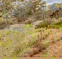 Old Mountain Road Walking Track - New South Wales Tourism 