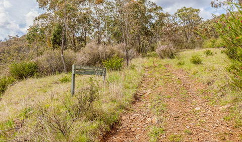 Old Mountain Road Walking Track - New South Wales Tourism  0