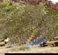 Owen Springs Reserve - New South Wales Tourism 