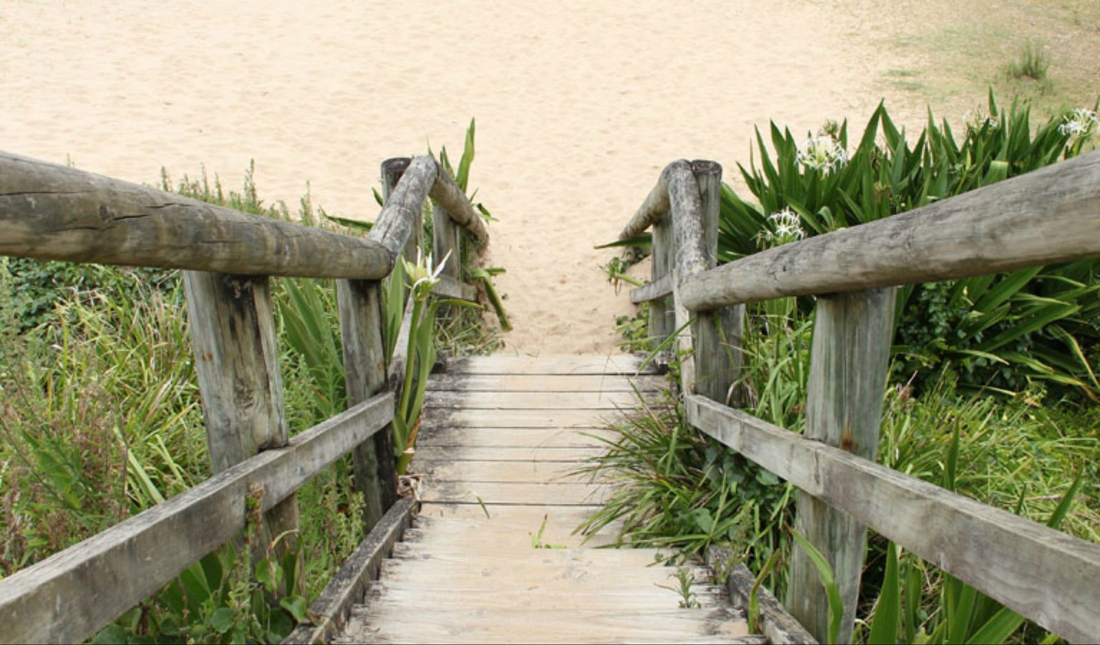  New South Wales Tourism 