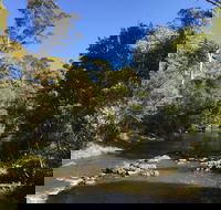 Pipers River Board Walk - New South Wales Tourism 