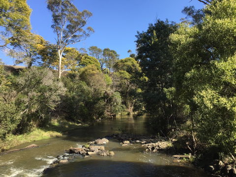 Pipers River Board Walk - New South Wales Tourism  0