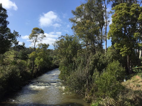 Pipers River Board Walk - New South Wales Tourism  1