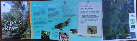 Pipers River Board Walk - New South Wales Tourism  2