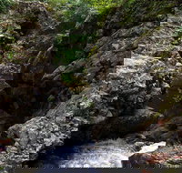 Potoroo Falls walk - New South Wales Tourism 