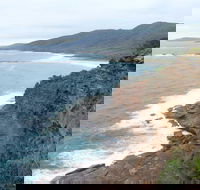 Pretty Beach to Snapper Point Walking Track - New South Wales Tourism 