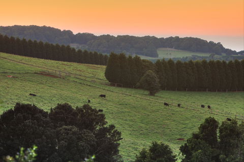 Robertson Heritage Railway Station - New South Wales Tourism  2