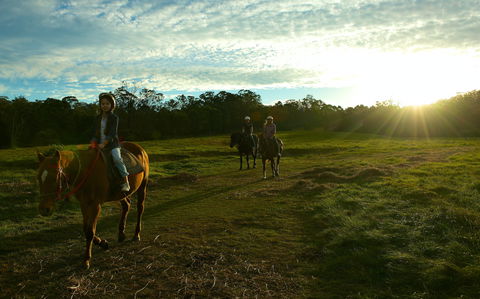 Scenic NSW Horse Riding Centre - New South Wales Tourism  0