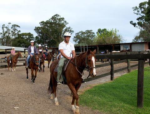Scenic NSW Horse Riding Centre - New South Wales Tourism  1