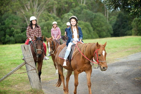 Scenic NSW Horse Riding Centre - New South Wales Tourism  2