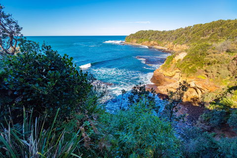 Shellgrit Beach (Red Head) - New South Wales Tourism  0