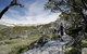 Snow Gums Boardwalk - thumb 0