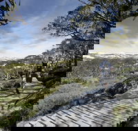 Snow Gums boardwalk - New South Wales Tourism 