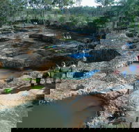 South Kolan - New South Wales Tourism 