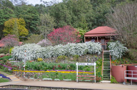 Spring Bluff Railway Station - New South Wales Tourism  1