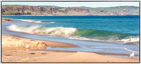 Starfish Hill Windfarm - New South Wales Tourism  0