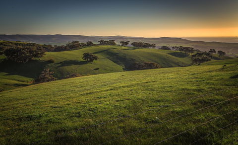Starfish Hill Windfarm - New South Wales Tourism  1