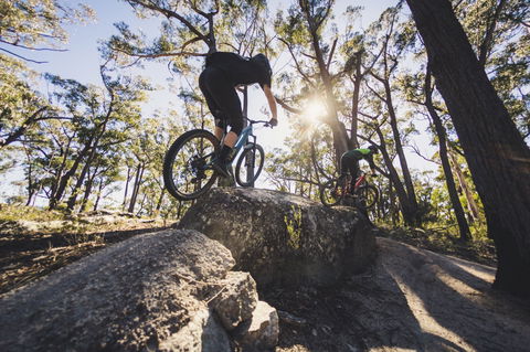 St Helens Mountain Bike Trails - New South Wales Tourism  1