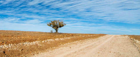 Sturts Steps Touring Route - New South Wales Tourism  0