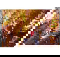 Tantanoola Caves - New South Wales Tourism 