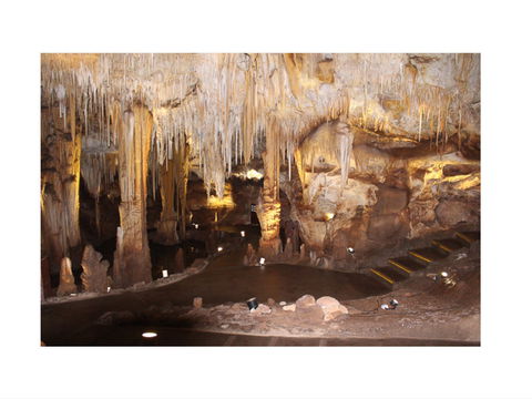 Tantanoola Caves - New South Wales Tourism  1