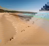 Terrace Beach and Lennards Island - New South Wales Tourism 