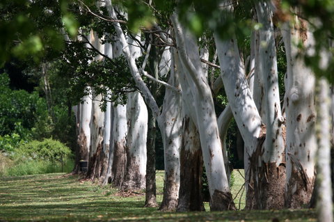Teven Valley Golf Course - New South Wales Tourism  1
