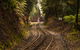 The West Coast Wilderness Way - thumb 0