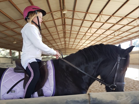 The Equine Club - New South Wales Tourism  1