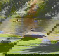 The Lions Junction Park - Tumut - New South Wales Tourism 