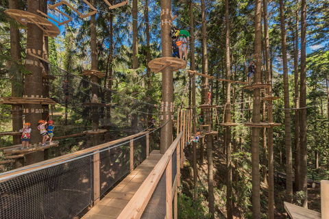 TreeTops Sydney The Hills - New South Wales Tourism  0