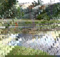 Tumut Wetlands - New South Wales Tourism 