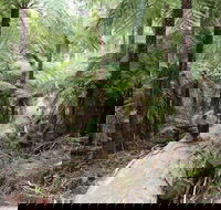 Upper Yarra Reservoir Park - New South Wales Tourism 