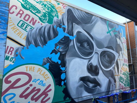 Walk The Walls Cronulla Street Art Trail - New South Wales Tourism  2
