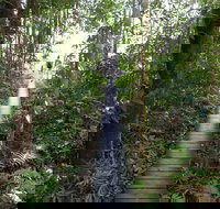 Walker Creek - New South Wales Tourism 