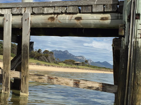 Whitemark Foreshore Picnic Area - New South Wales Tourism  1