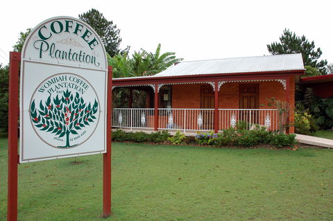 Wombah Coffee Plantation - New South Wales Tourism  0