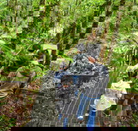 Yarra Ranges National Park - New South Wales Tourism 