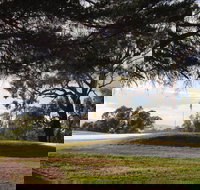 Yea Golf Club - New South Wales Tourism 