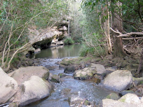 Bomaderry Creek Regional Park - New South Wales Tourism  0