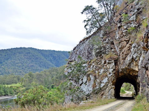 Boyd River - New South Wales Tourism  1