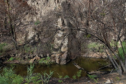 Brisbane Ranges National Park - New South Wales Tourism  0