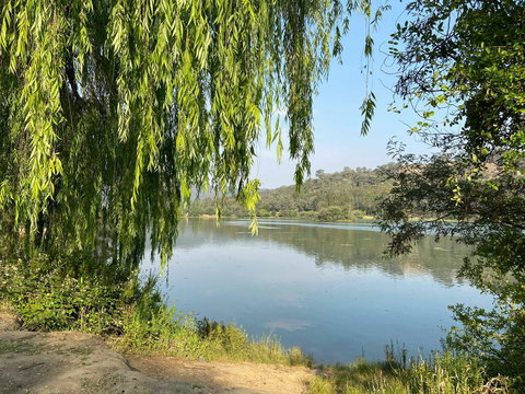 Eildon Pondage Walk - New South Wales Tourism  1