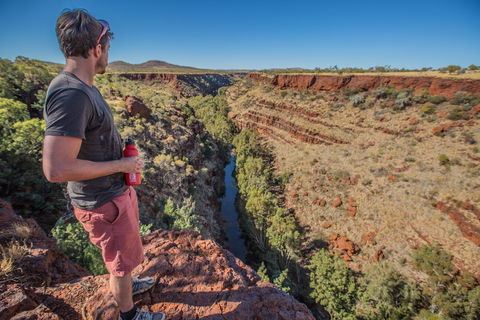 Gorge Rim Walk, Dales Gorge - New South Wales Tourism  0