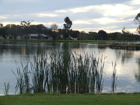 Luke Park And Jerilderie Lake - New South Wales Tourism  2