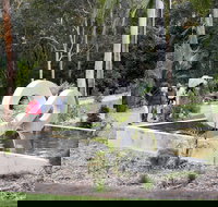 Maroochy Regional Bushland Botanic Garden - New South Wales Tourism 