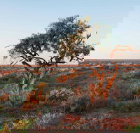 Merton Motor Trail - New South Wales Tourism 